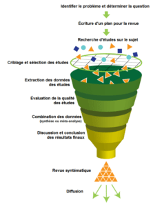 Revue_systématique2